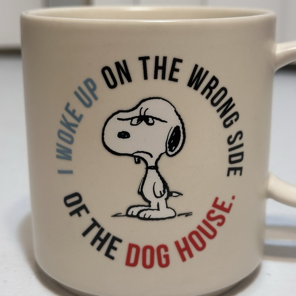 Peanuts Snoopy Coffee Mug Woke Up On The Wrong Side Of The Dog House